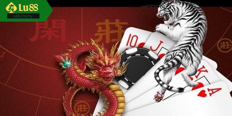 Tổng quan về rồng hổ